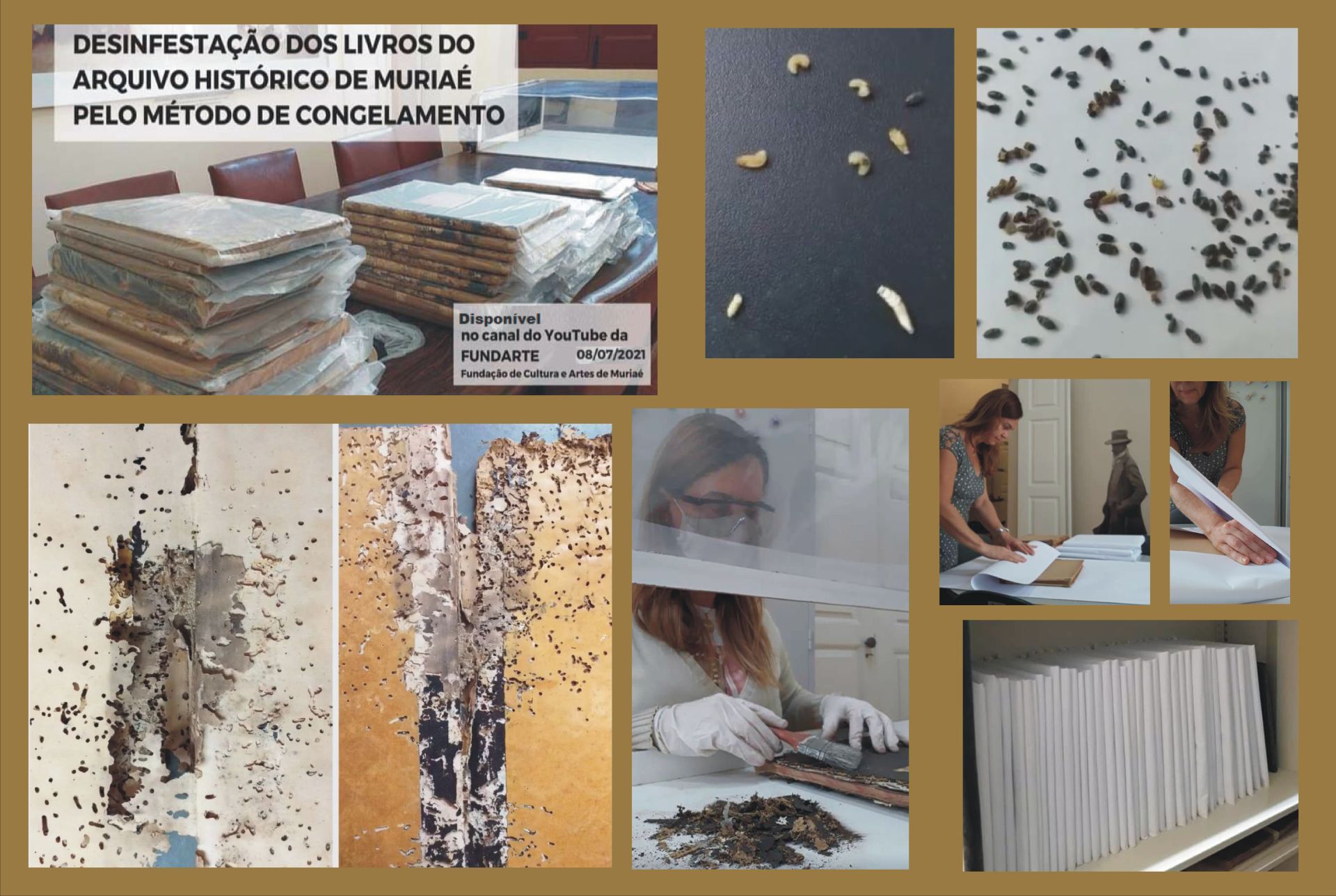 Alguns livros do acervo foram atacados por Brocas, pequenos insetos xilófagos. Os livros passaram pelo processo de congelamento para fazer a desinfestação sem o uso de produtos químicos. Posteriormente foram higienizados e encapados com papel alcalino.